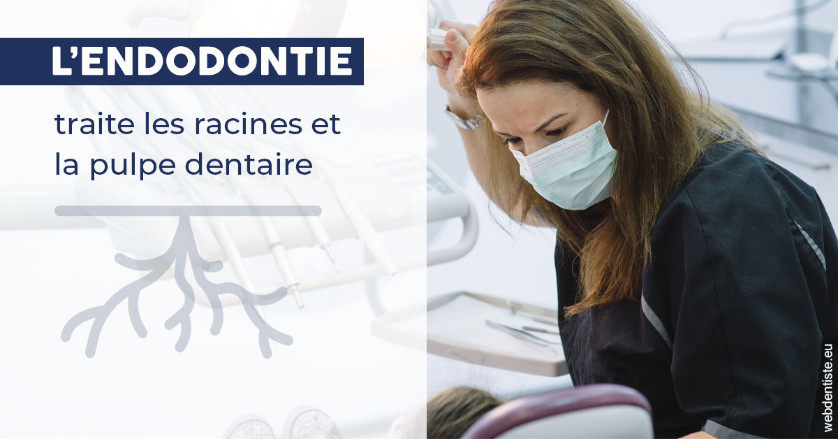 https://dr-coulange-jacques.chirurgiens-dentistes.fr/L'endodontie 1
