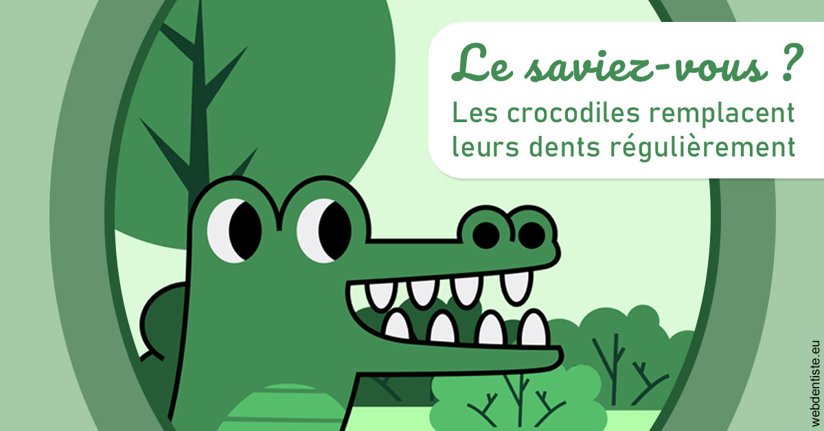 https://dr-coulange-jacques.chirurgiens-dentistes.fr/Crocodiles 2