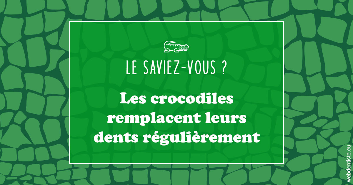 https://dr-coulange-jacques.chirurgiens-dentistes.fr/Crocodiles 1